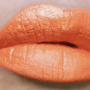 Sidechick Lip Swatch